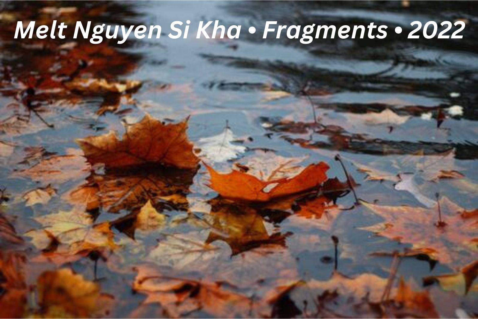 Melt Nguyen Si Kha • Fragments • 2022